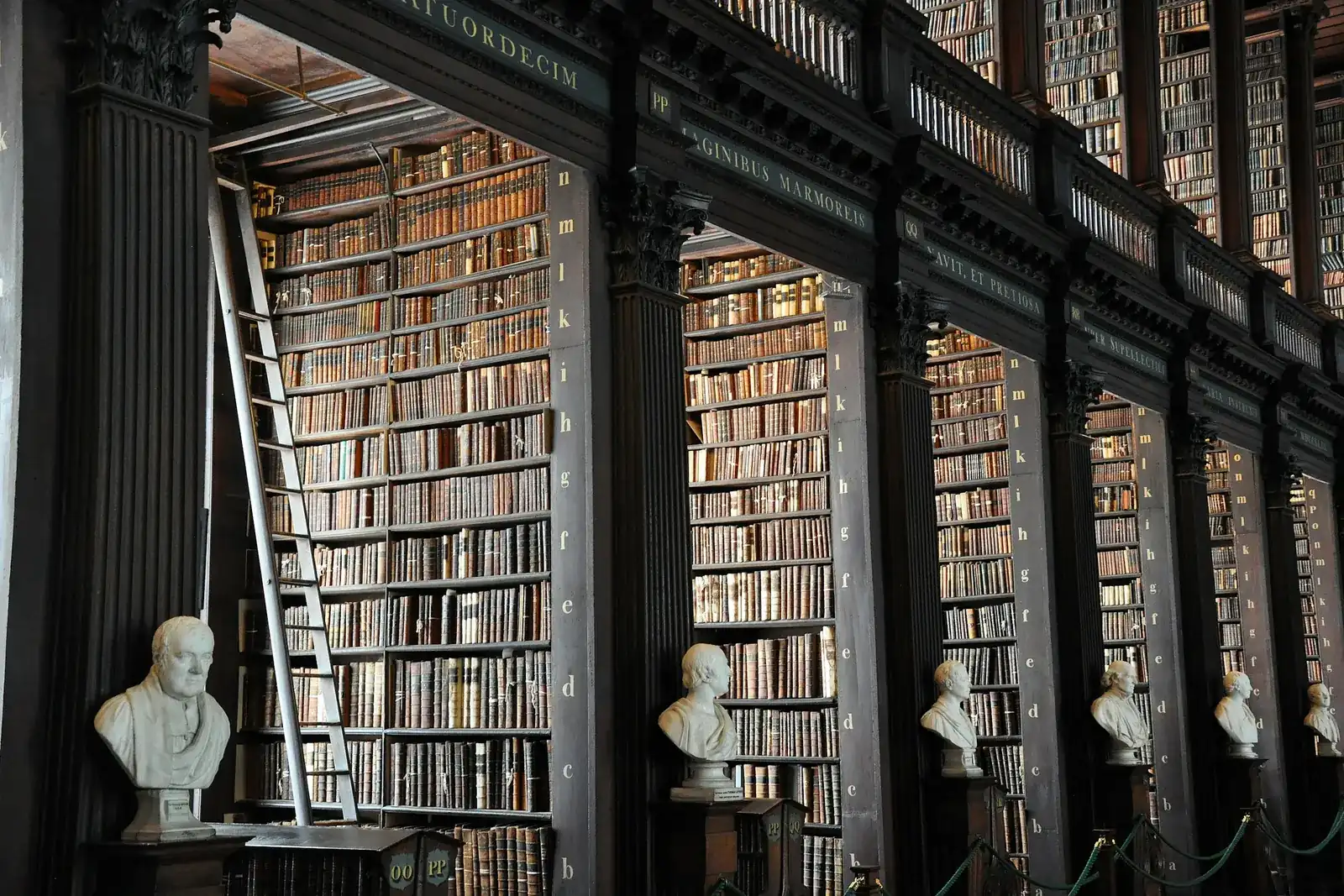 Hohe Holzregale voller alter Bücher und Marmorbüsten in einer Bibliothek
